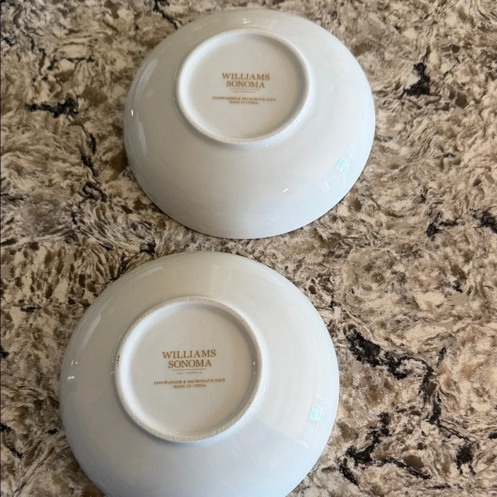Williams Sonoma Japanese Set of 2 Bowls